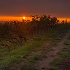 Sonnenuntergang in Weiler