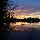 Sonnenuntergang in Weisingen