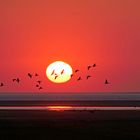 Sonnenuntergang in Westerhever