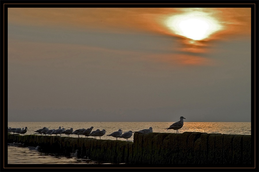 Sonnenuntergang in Westerland/Sylt