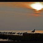 Sonnenuntergang in Westerland/Sylt