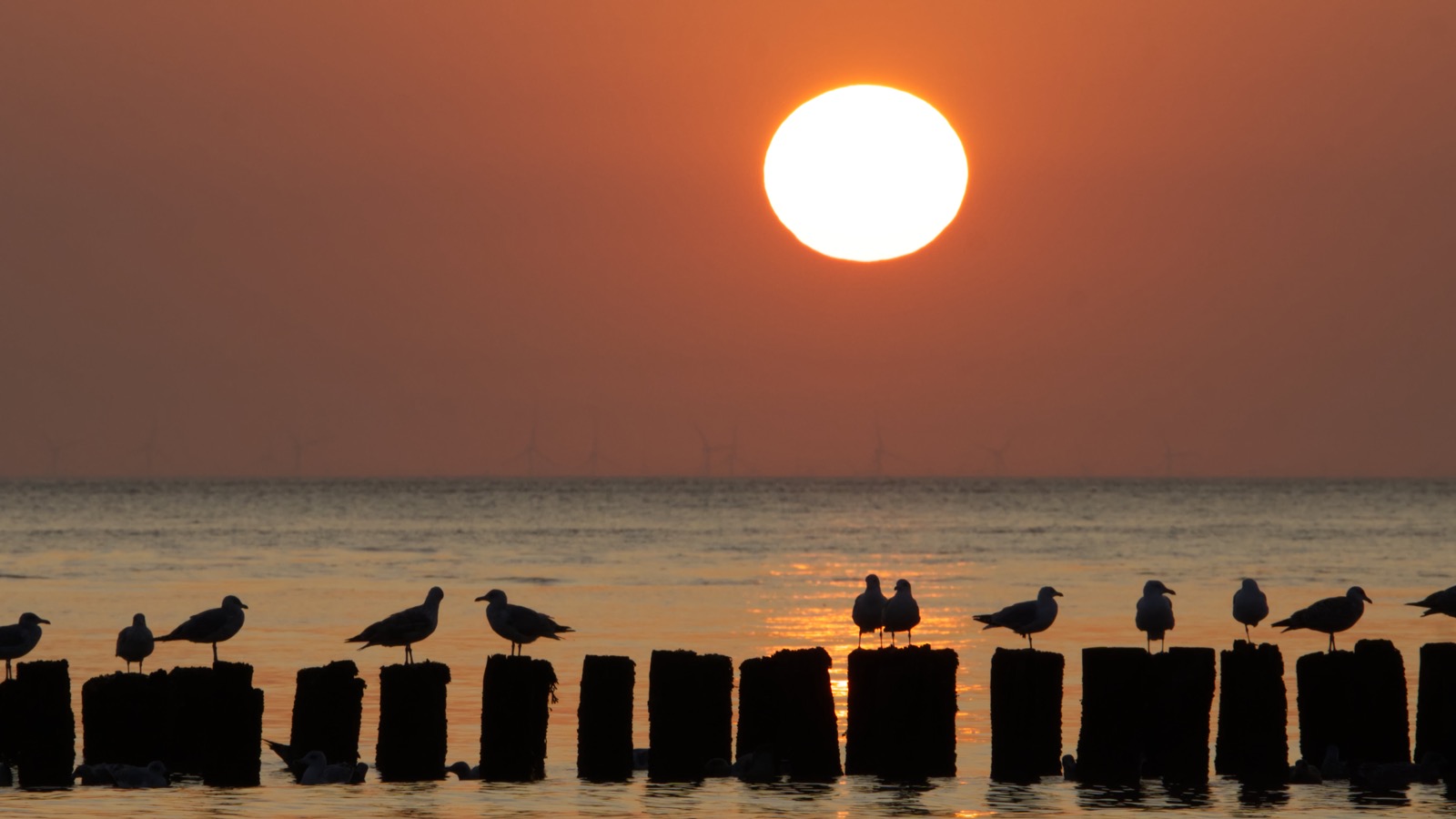 Sonnenuntergang in Westkapelle