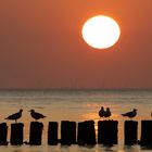 Sonnenuntergang in Westkapelle