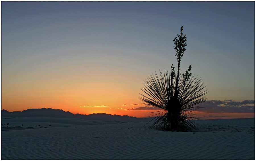 Sonnenuntergang in White Sands [15]