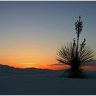 Sonnenuntergang in White Sands [15]