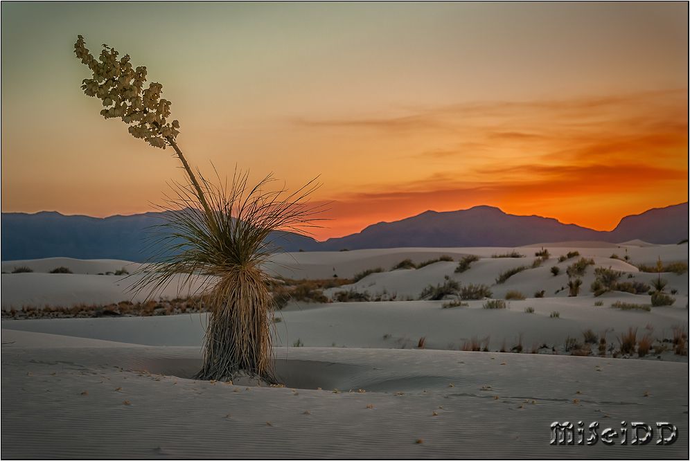 Sonnenuntergang in White Sands...