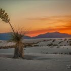 Sonnenuntergang in White Sands...