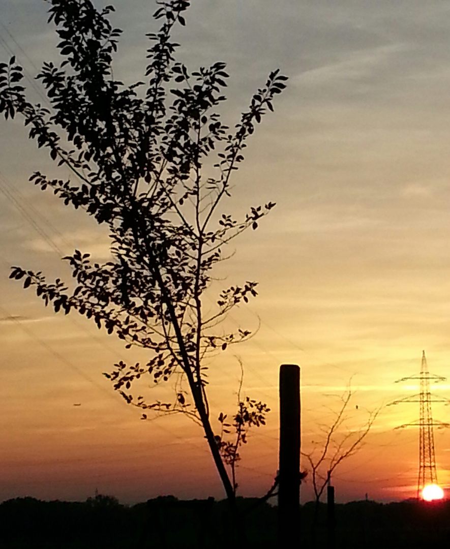 Sonnenuntergang in Wien