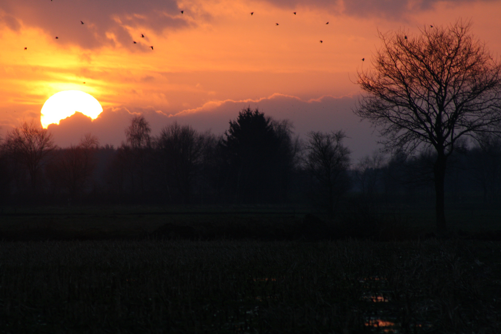 Sonnenuntergang in Wiesmoor 