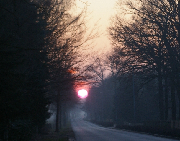 Sonnenuntergang in Winsen/Aller