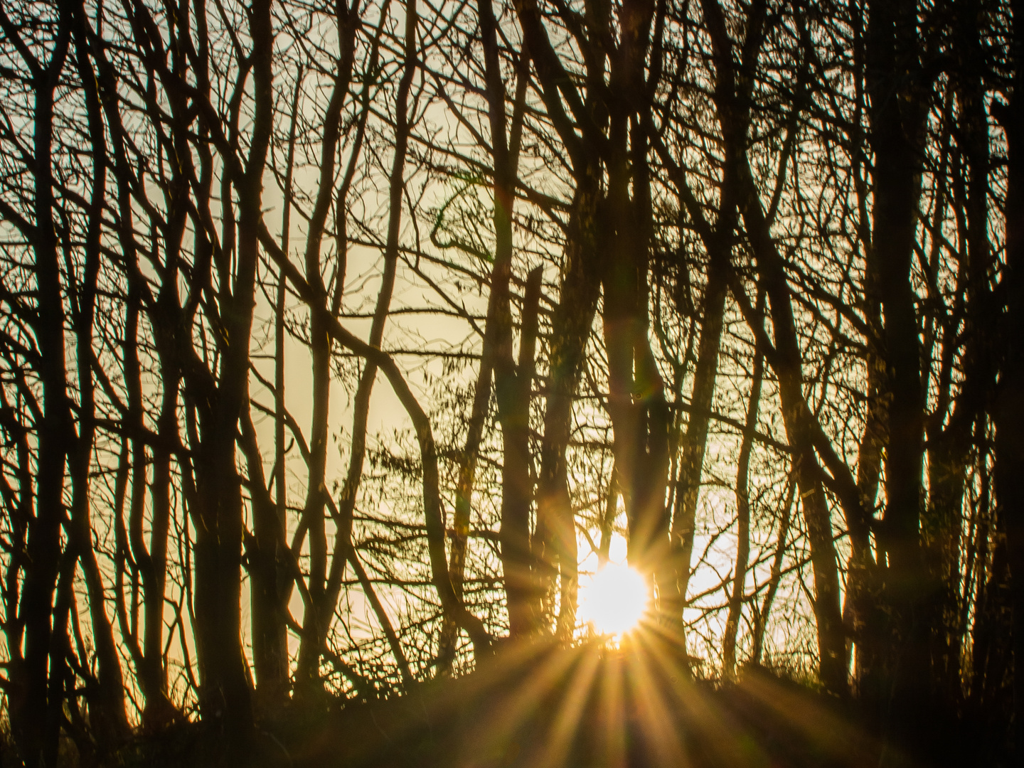 Sonnenuntergang in Wittgenstein