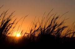 Sonnenuntergang in Wolwedans (Namibia)