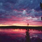 Sonnenuntergang in Ylläs, Finnland