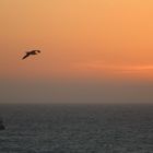 Sonnenuntergang in Zandvoort /  Holland