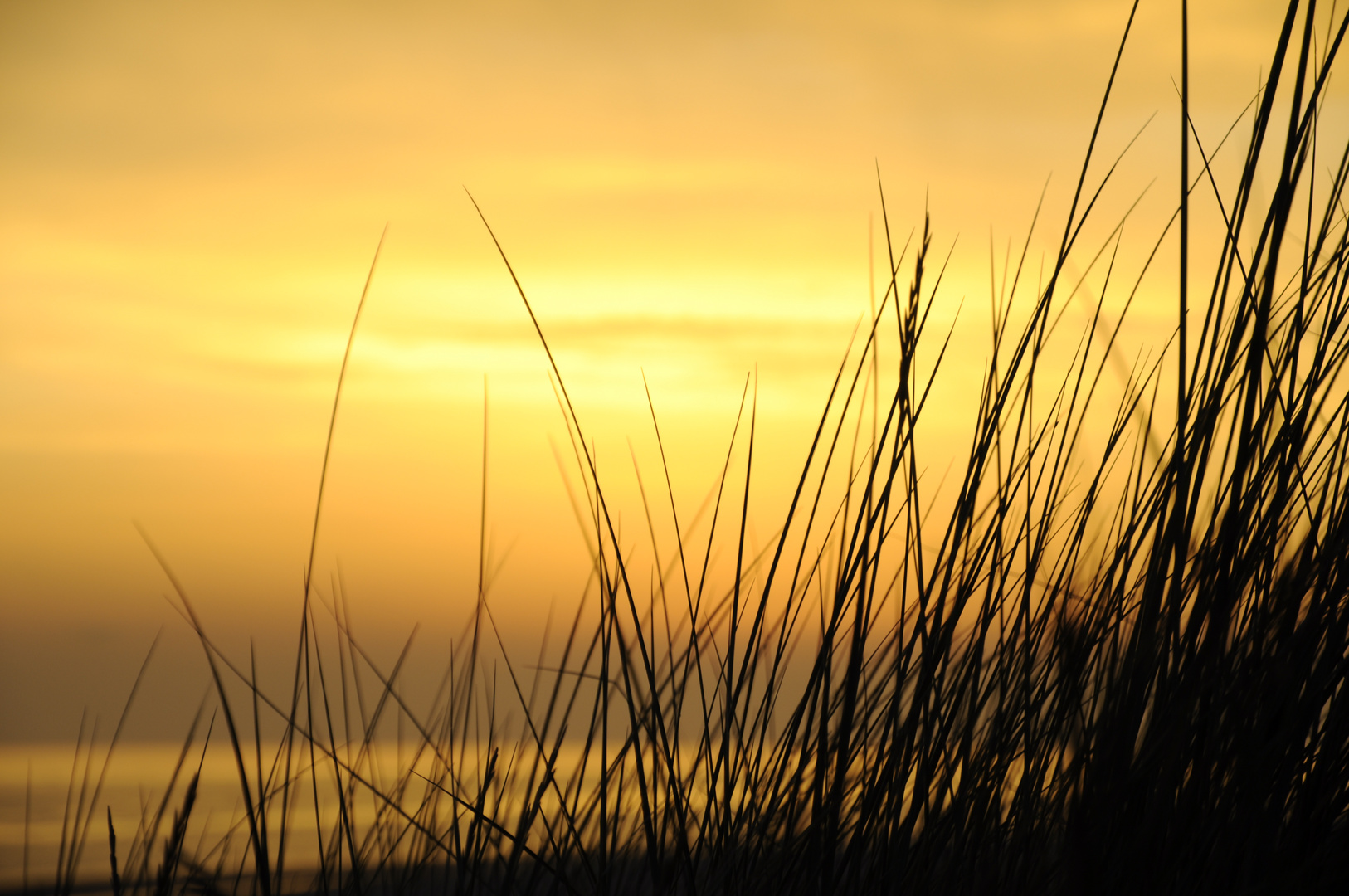 Sonnenuntergang in Zeeland