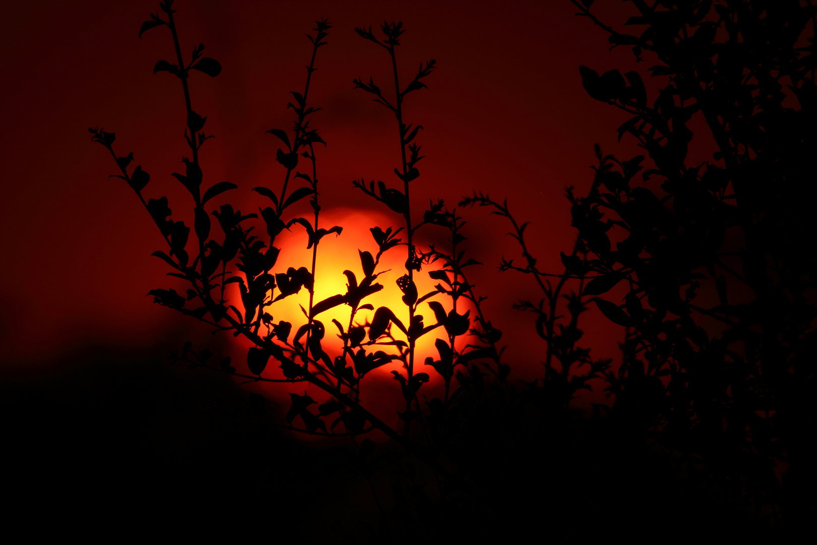 Sonnenuntergang in Zimbabwe