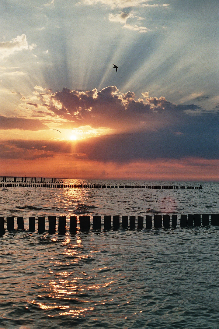 Sonnenuntergang in Zingst