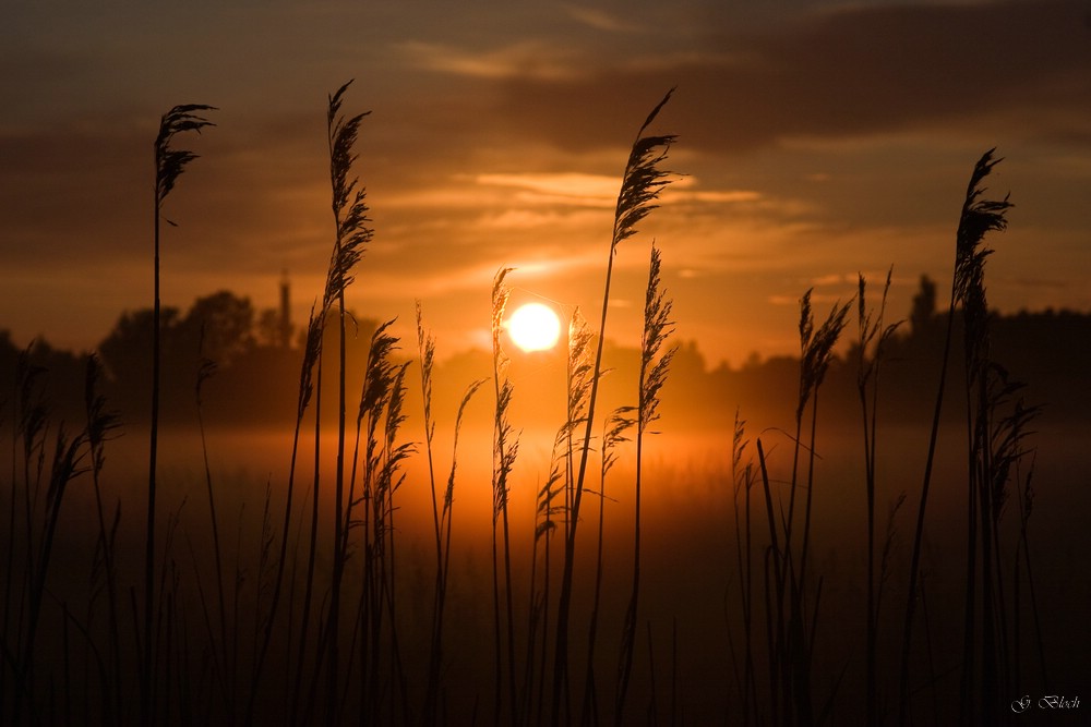 Sonnenuntergang in Zingst