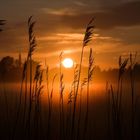 Sonnenuntergang in Zingst