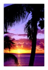 Sonnenuntergang Insel Mauritius 2000