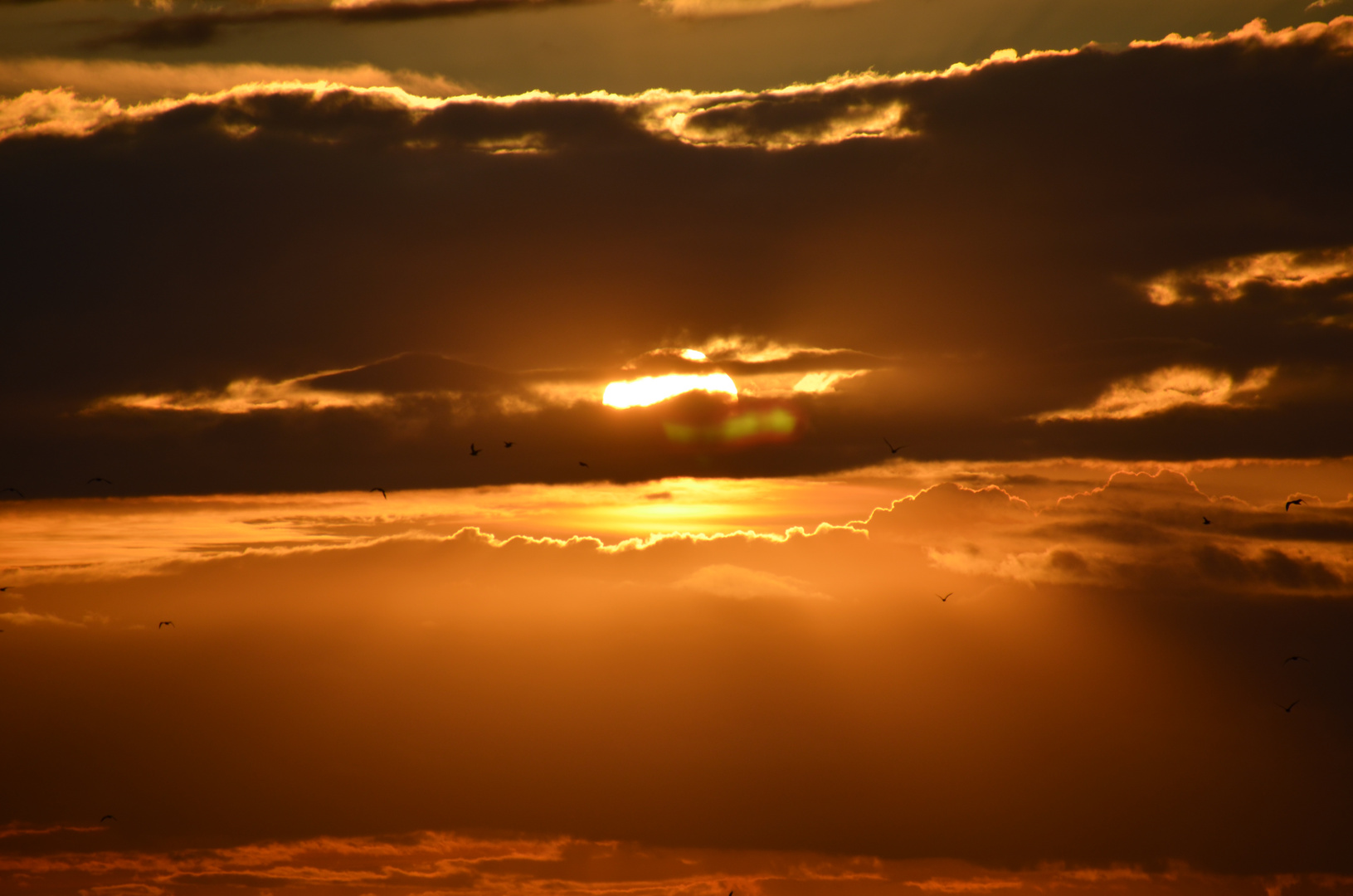 Sonnenuntergang Insel Usedom