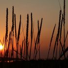 Sonnenuntergang irgendwo am Strand in Dänemark