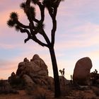 Lost Places USA