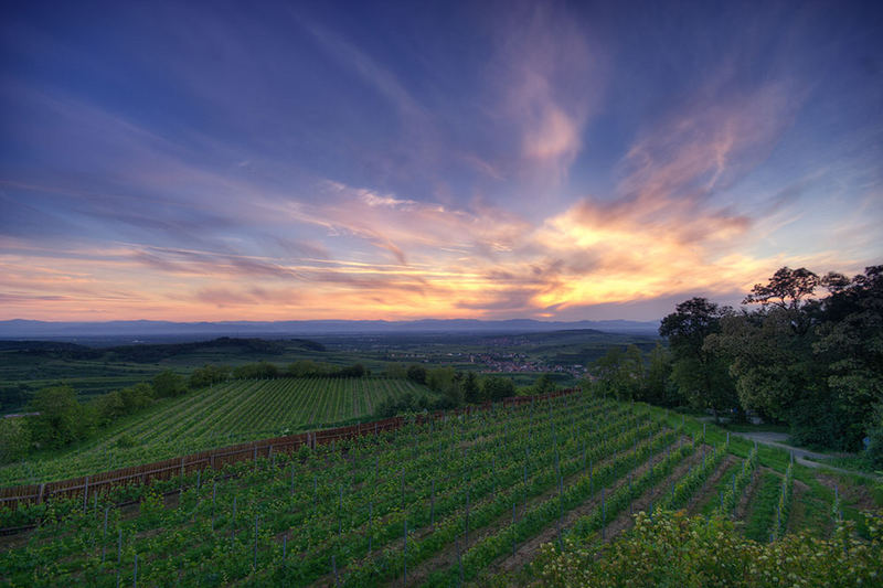 Sonnenuntergang Kaiserstuhl