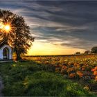 Sonnenuntergang  Kapelle