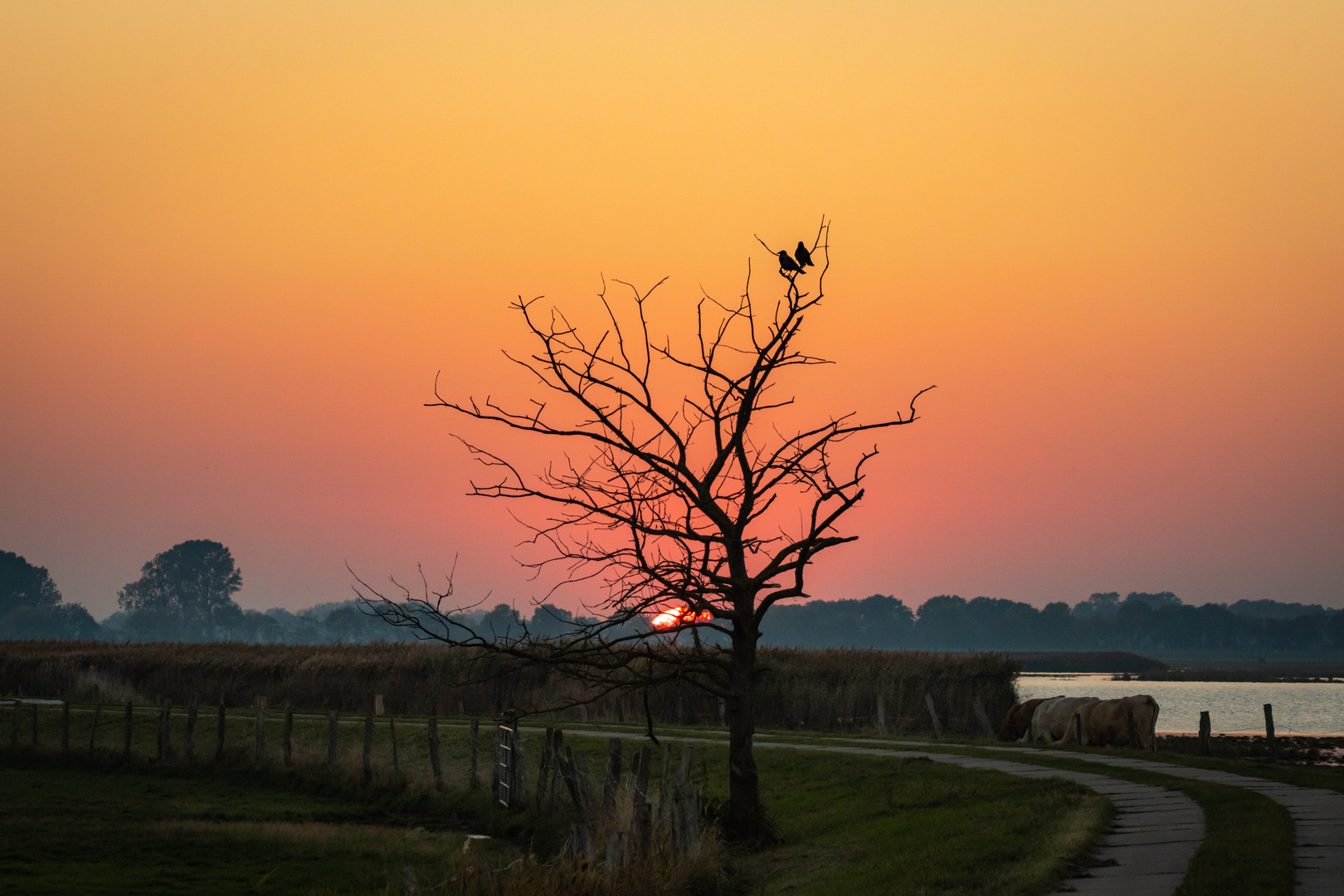 Sonnenuntergang Karrendorfer Wiesen