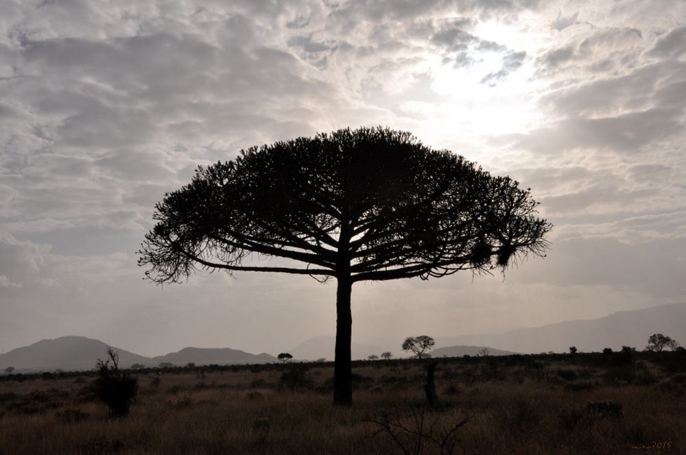 Sonnenuntergang Kenia 2015