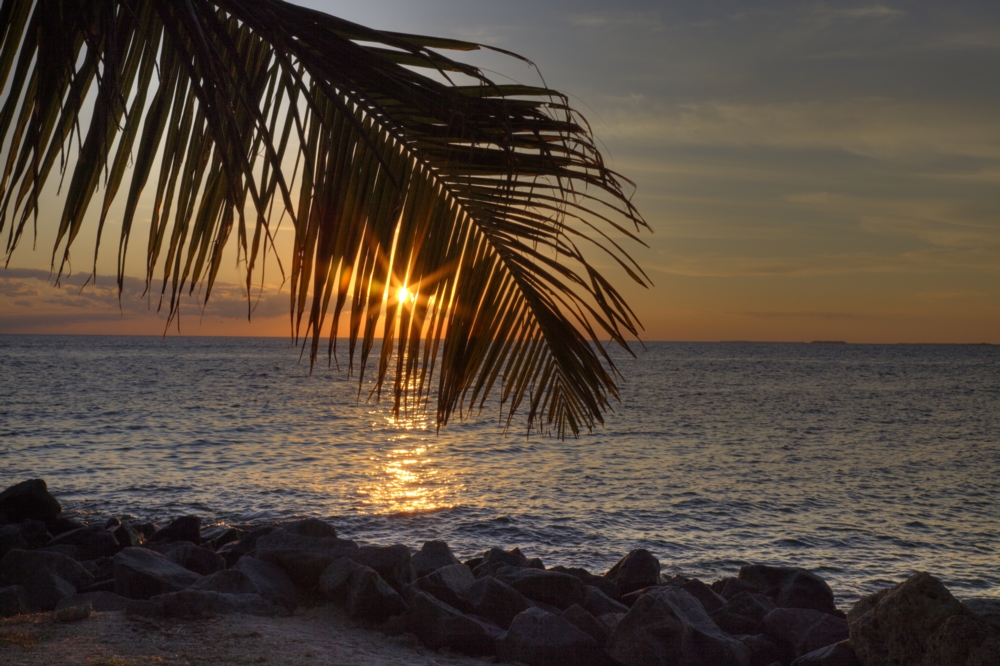 Sonnenuntergang Key West