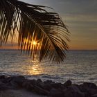 Sonnenuntergang Key West