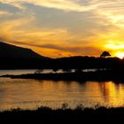 Sonnenuntergang / Killarney Nationalpark