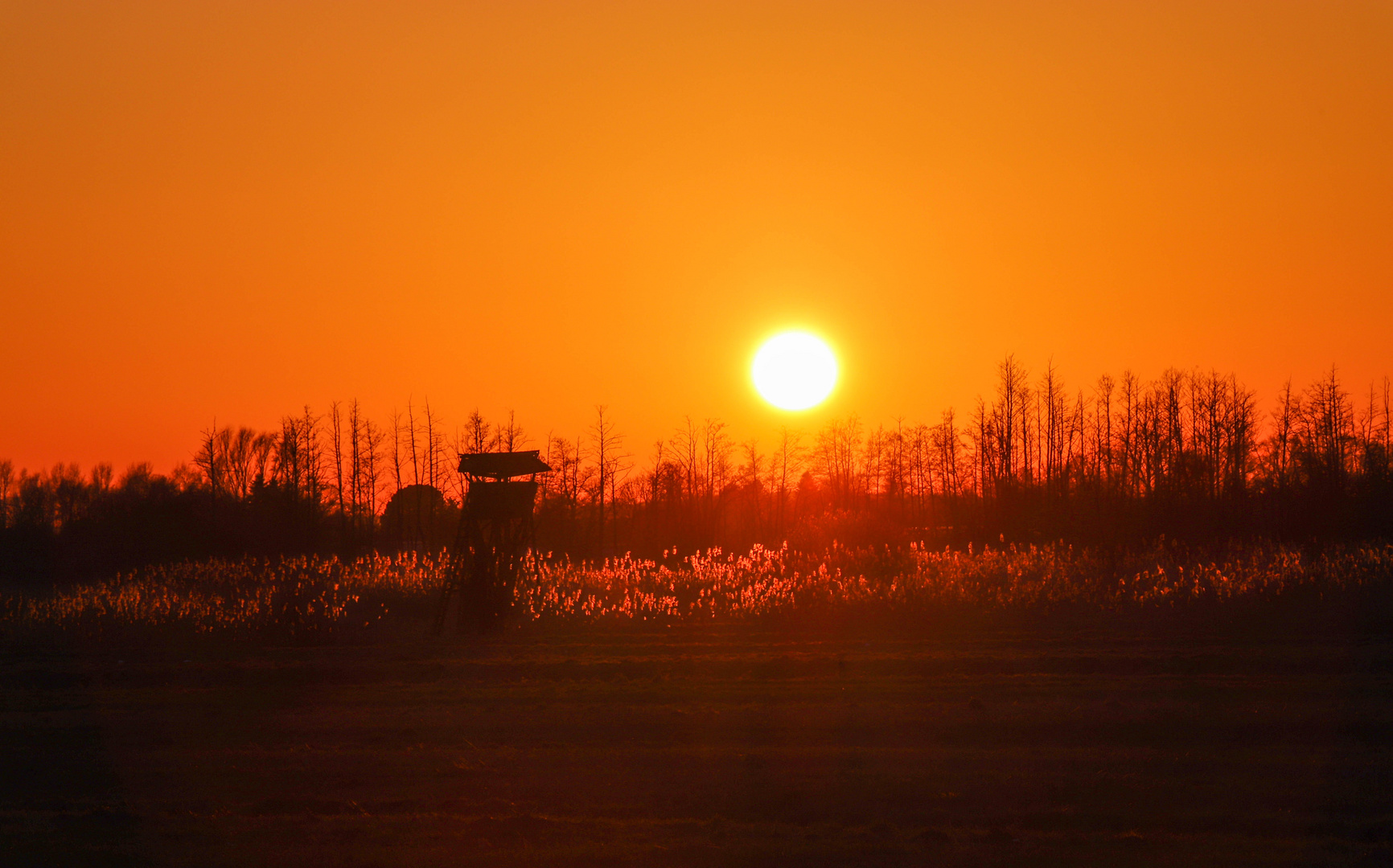 Sonnenuntergang Kirchwerdewiesen (1 von 1)