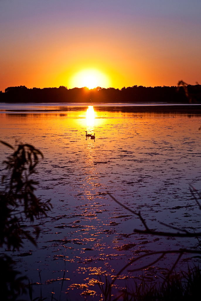 Sonnenuntergang Kolkwitz