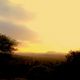 Sonnenuntergang Kruger Park