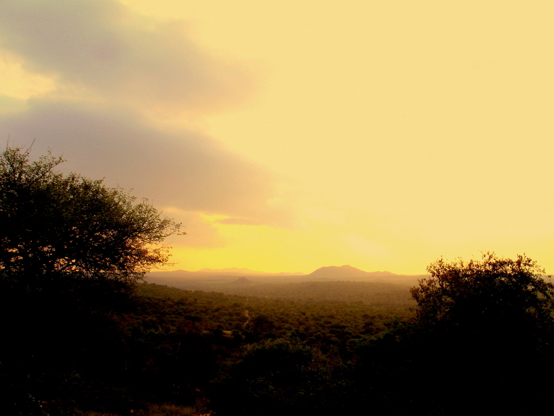 Sonnenuntergang Kruger Park von Peter Bruders 