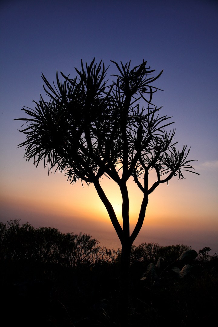 Sonnenuntergang La Palma