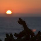 Sonnenuntergang La Paret Fuerteventura