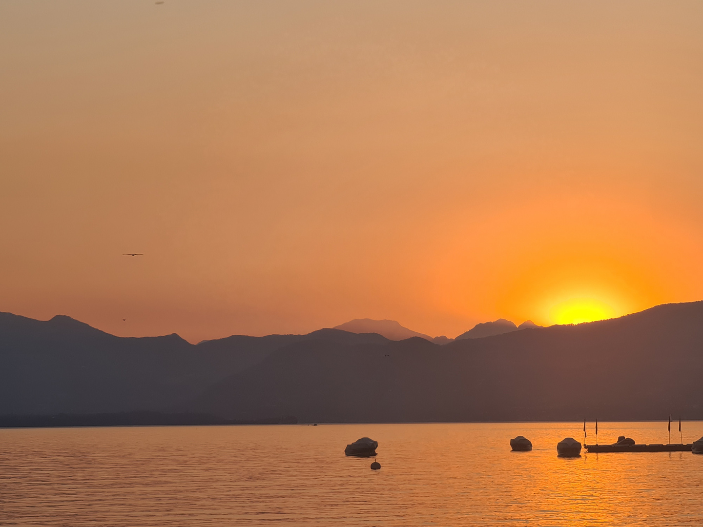 Sonnenuntergang - Lago di Garda - Bardolino