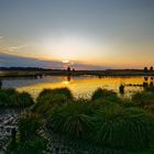 Sonnenuntergang, Landschaft im Hohen Venn III