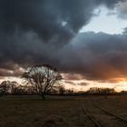 Sonnenuntergang Lanschaftspark