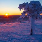 Sonnenuntergang Lappland