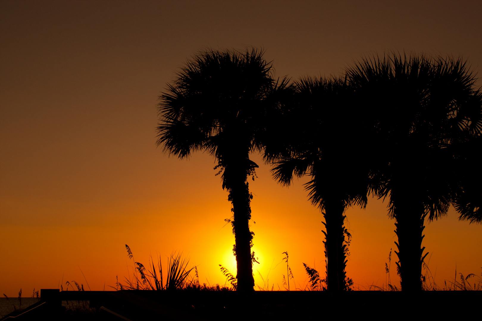 Sonnenuntergang Lido Beach Florida