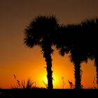 Sonnenuntergang Lido Beach Florida