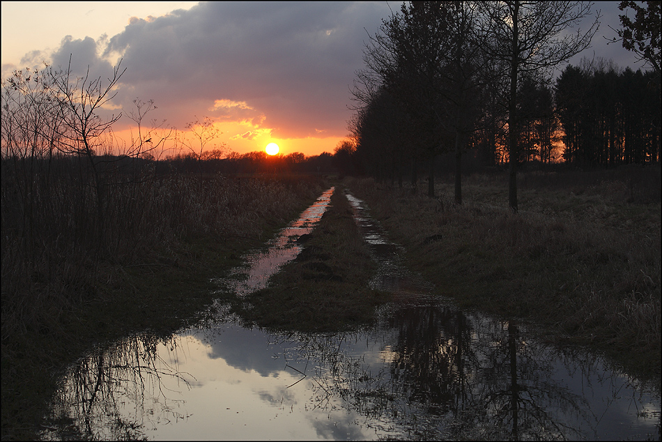 Sonnenuntergang Lippewiesen