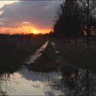 Sonnenuntergang Lippewiesen