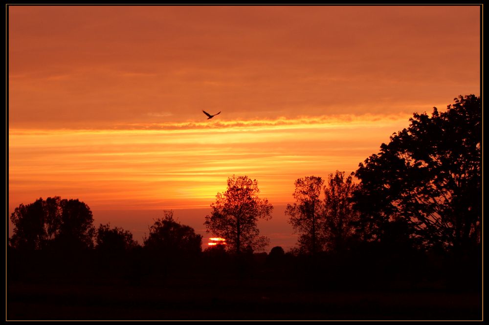 Sonnenuntergang Mai 05