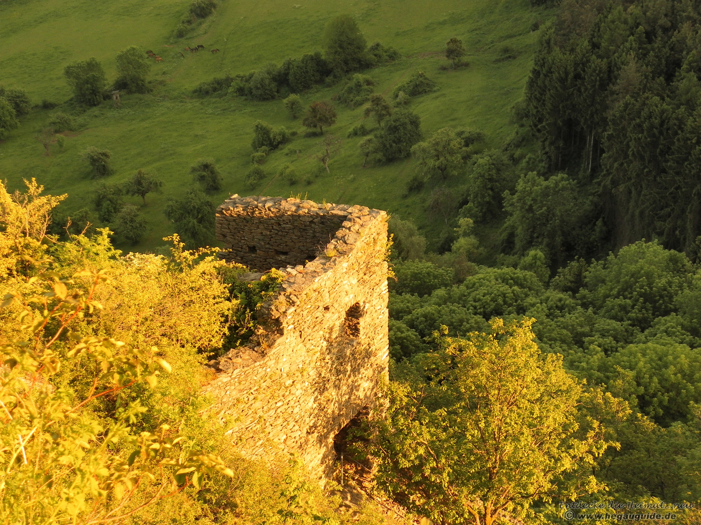 Sonnenuntergang Mai 2010 am Hohenkrähen: bronzefarben vor irisch-grünem Hintergrund